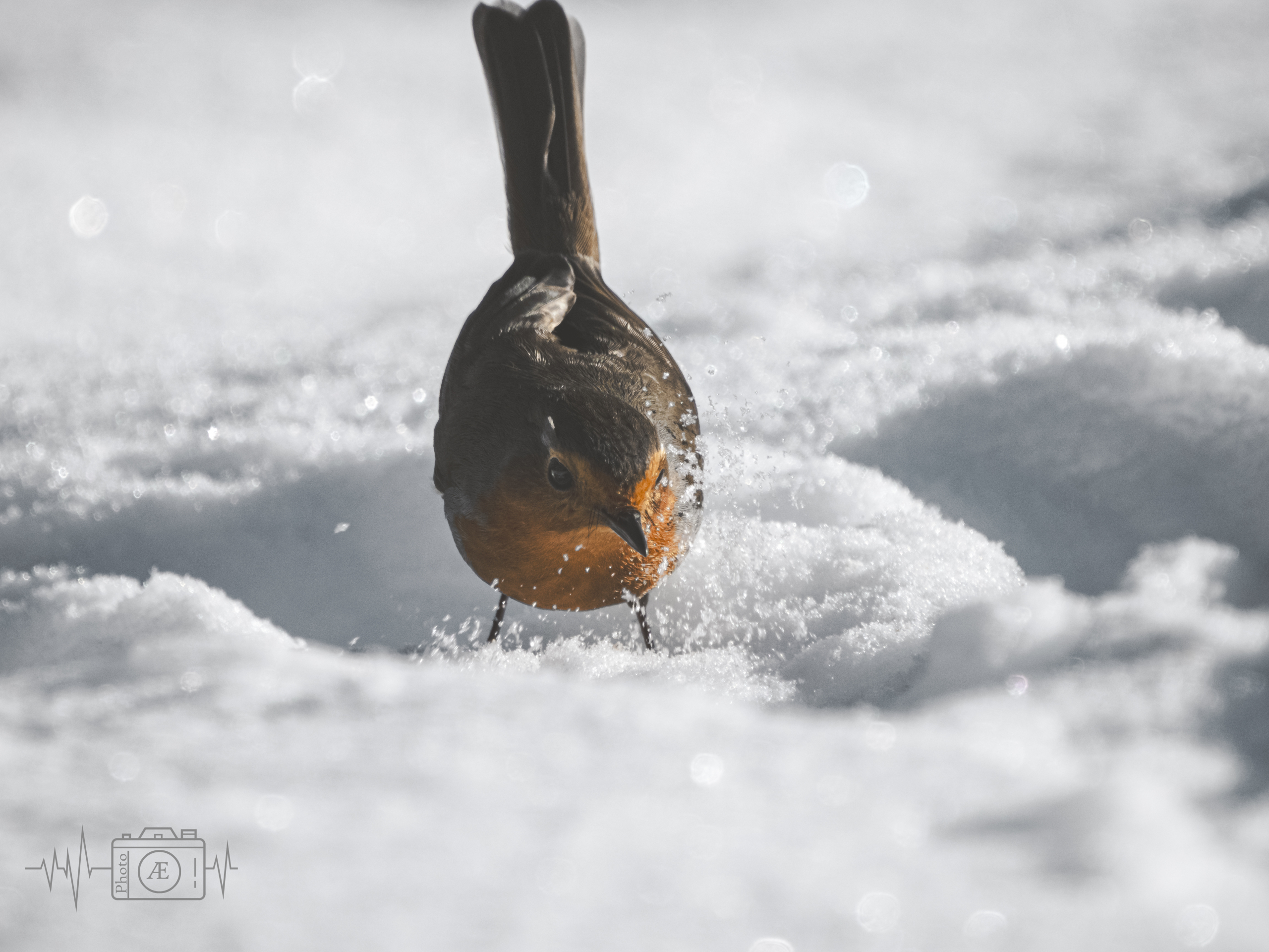 Spuren im Schnee