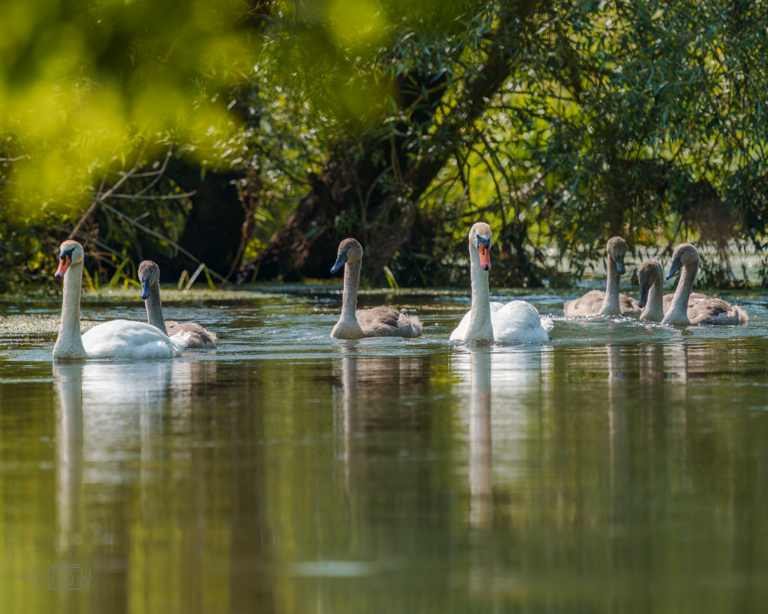 Familienausflug auf dem Wasser