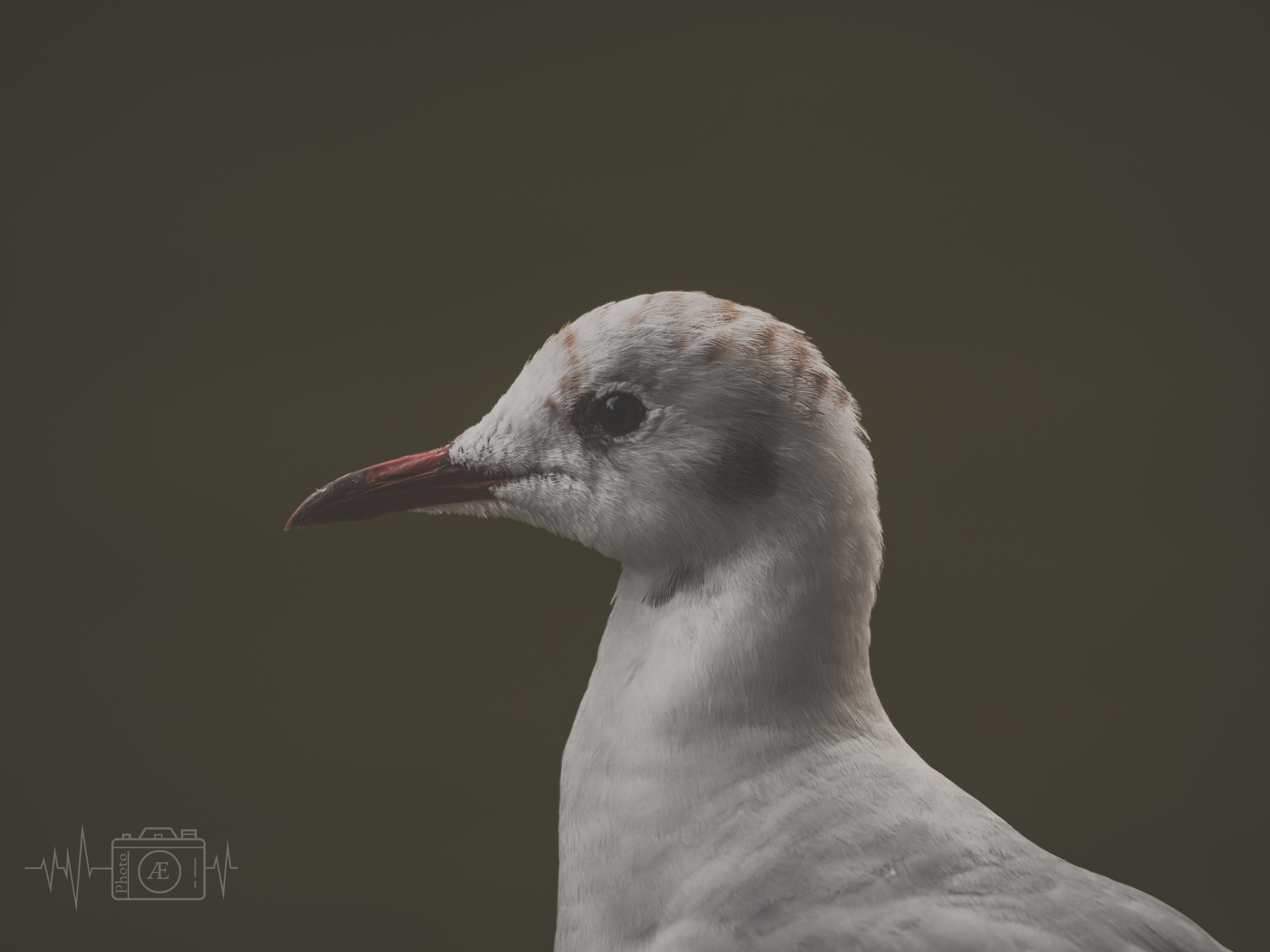 Fokussierter Blick